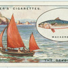 Mackerel fishing off the Devon Coast.