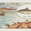 Sea-Trout fishing in the Hebrides.