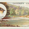Salmon fishing on the Usk.