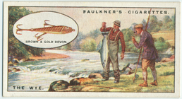 Index