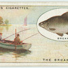 Bream fishing on the Broads.