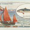 Mackerel fishing off the Devon Coast.
