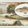Grayling fishing on the Dove.