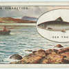 Sea-Trout fishing in the Hebrides.