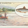 Trout fishing on Loch Leven, Kinross-shire.