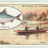 Fishing from a Thames Punt.
