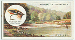 Salmon fishing on the Usk.