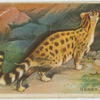 Genet.