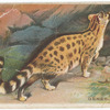 Genet.