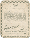 Konzi