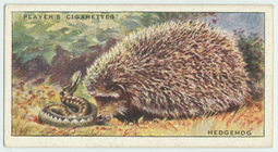 Index