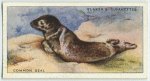 Common Seal.