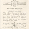 Indian Rhinoceros.
