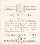 Lion.
