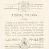 Tiger.