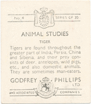 Tiger.