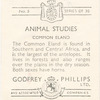 Common Eland.