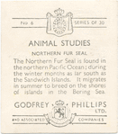 Northern Fur Seal.