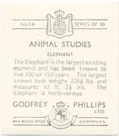 Elephant.
