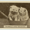 'Bubble and squeak'.