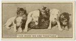 'The more we are together.'