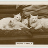 Happy family.
