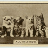 'All in a row.'