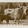 Chip of the old block.
