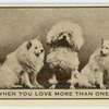'When you love more than one.'