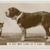 'A cat may look at a king'.