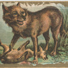 Wolf.