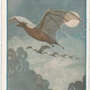 Flying Fox.