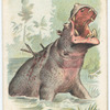 The Hippopotamus.