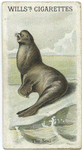 The Seal.