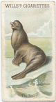 The Seal.