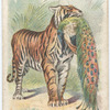 The Tiger.