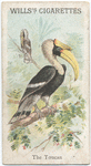 The Toucan.
