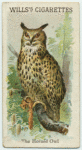 The Horned Owl.