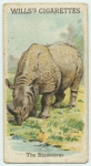 The Rhinoceros.