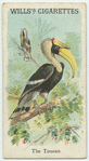 The Toucan.