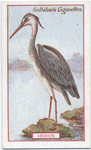 Heron.