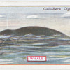 Whale.