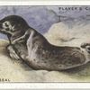 Common Seal.