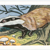 The Badger.