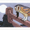 The Barn Owl.
