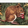 The Long-tailed Field Mouse.