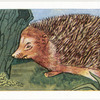 The Hedgehog.