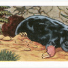 The Mole.