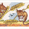 Harvest Mice.