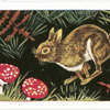 The Rabbit.